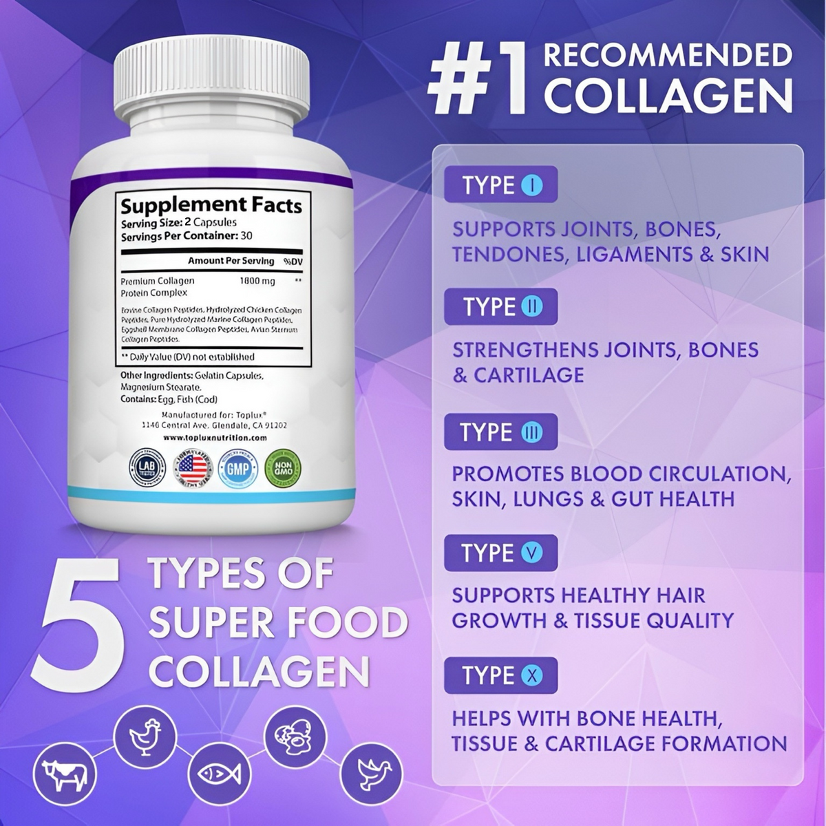 Collagen Peptides
